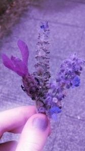 marandaelizabethseattle3