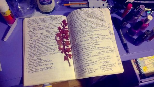 marandaelizabethstayalivediary