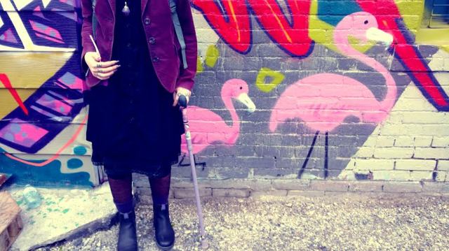 marandaelizabethpinkflamingos