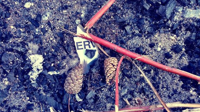 marandaelizabetherfire